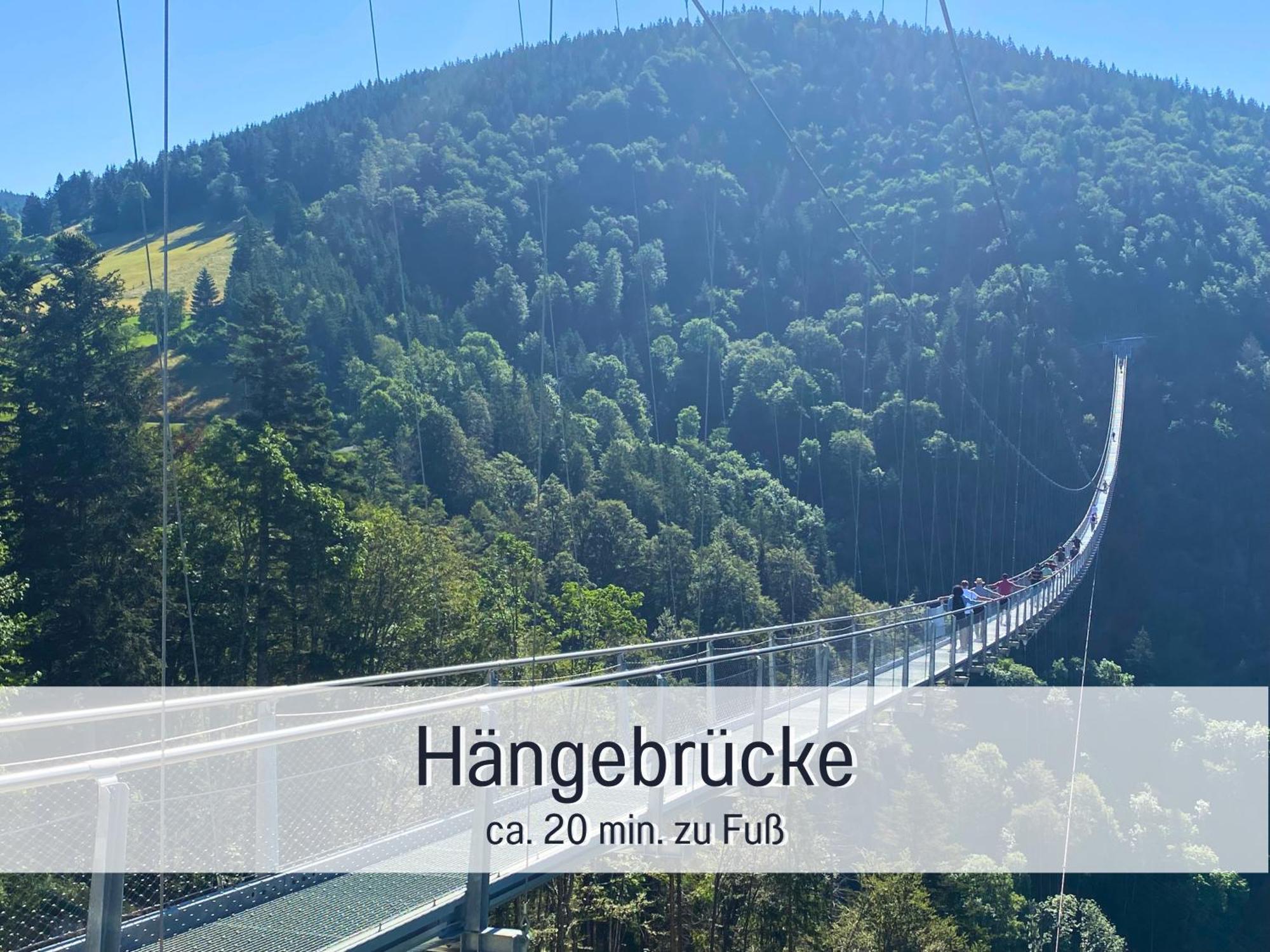 Herzgruen Direkt An Traumhaften Wanderwegen Balkon Mit Toller Aussicht Sauna Im Haus Tiefgarage E-Ladestation Todtnauberg Eksteriør billede