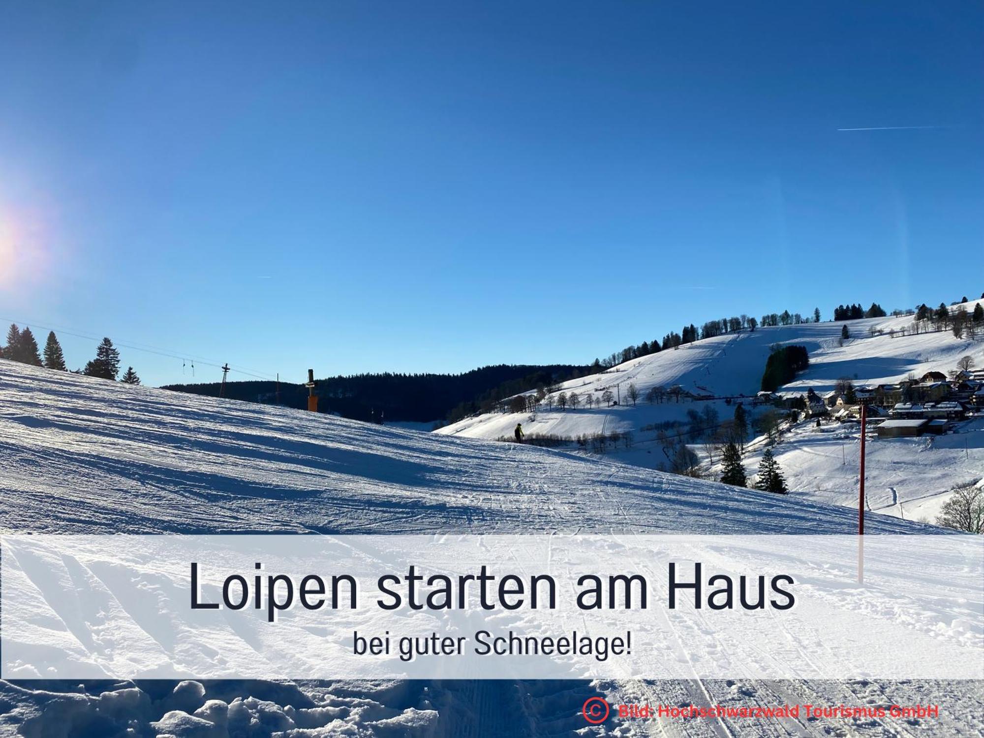 Herzgruen Direkt An Traumhaften Wanderwegen Balkon Mit Toller Aussicht Sauna Im Haus Tiefgarage E-Ladestation Todtnauberg Eksteriør billede