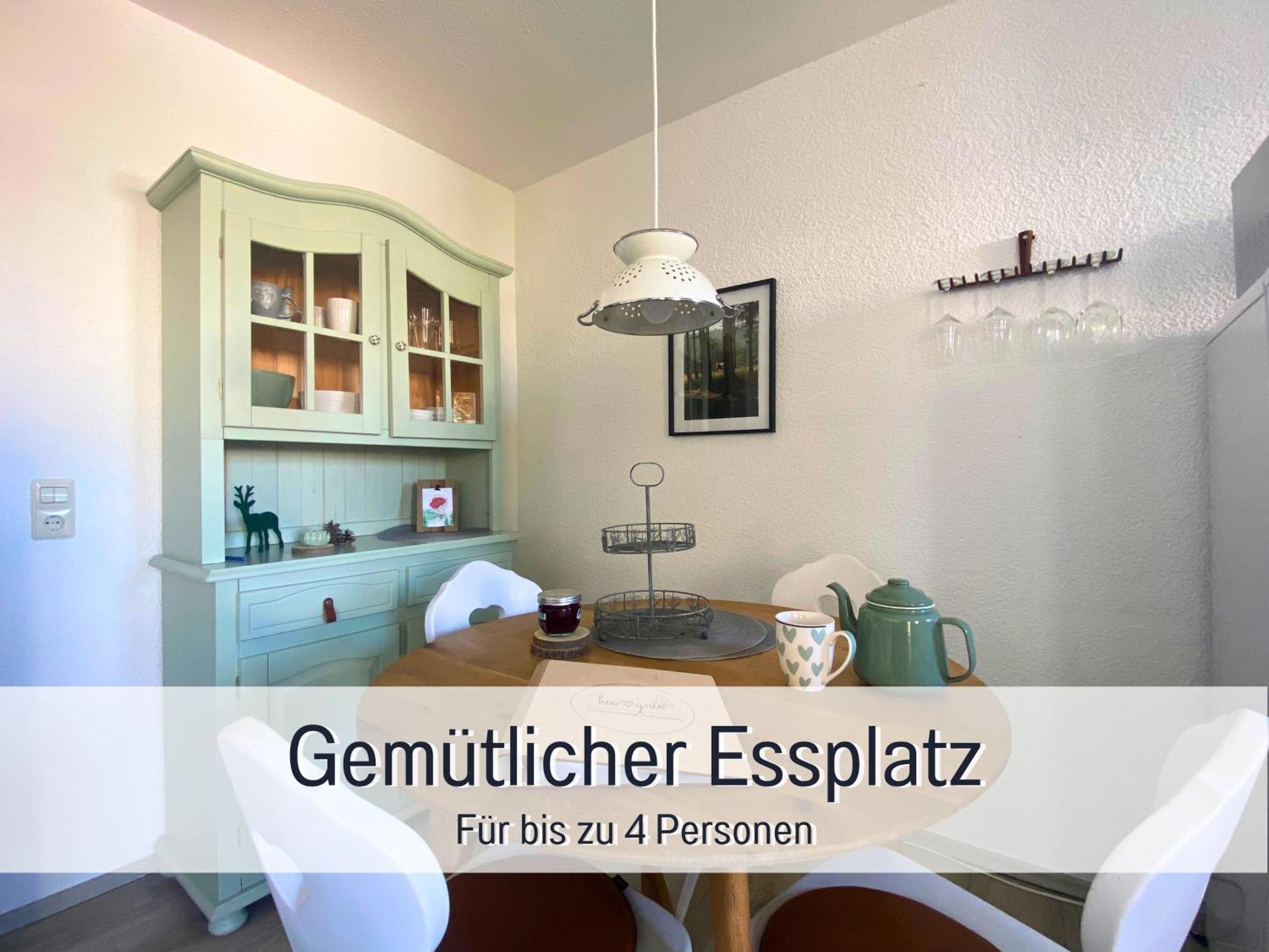 Herzgruen Direkt An Traumhaften Wanderwegen Balkon Mit Toller Aussicht Sauna Im Haus Tiefgarage E-Ladestation Todtnauberg Eksteriør billede